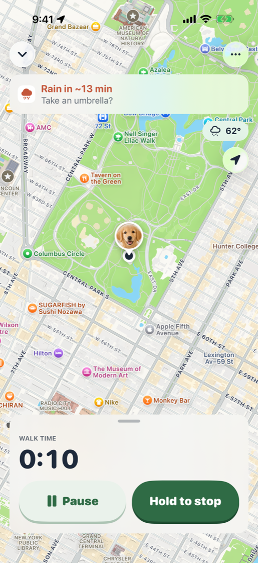 A live walk in Central Park: the map follows the dog, with the walk timer and pause and stop buttons below